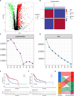 Identification of a Novel Tumor Microenvironment Prognostic Signature for Bladder Urothelial Carcinoma